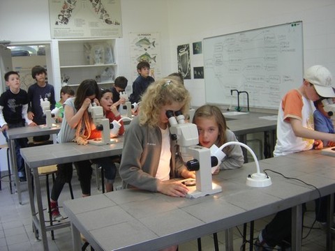 DSC07222.JPG DSC07222.JPG