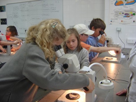 DSC07221.JPG DSC07221.JPG