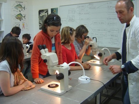 DSC07220.JPG DSC07220.JPG